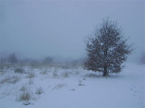 Snowy Fields Fog 74 By Dark Dragon Stock On Deviantart
