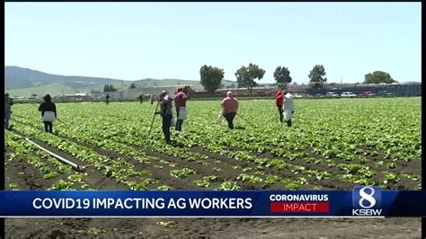 Salinas Ag Industrys New Approach To Handling Covid 19 Youtube