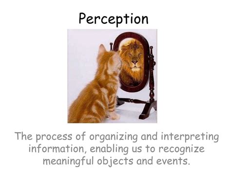 PPT Perception PowerPoint Presentation Free Download ID