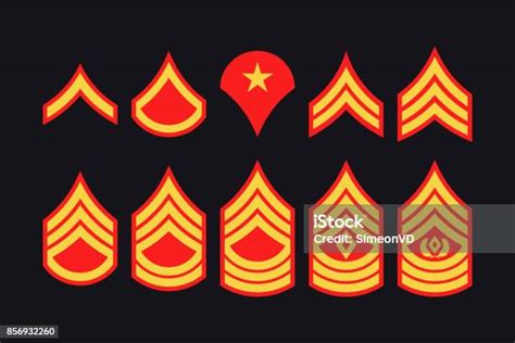 Military Ranks Stripes And Chevrons Vector Set Army Insignia Stock