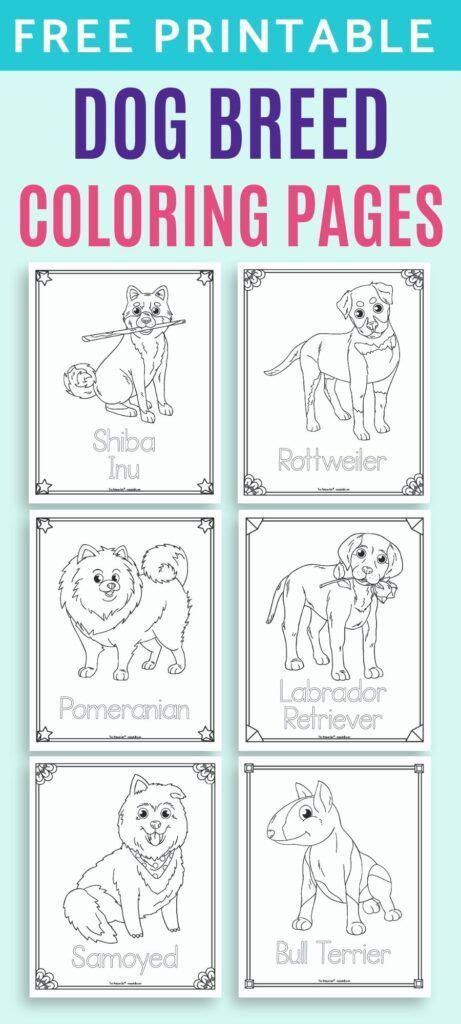 35 Free Printable Dog Breed Coloring Pages For Kids Free Kids