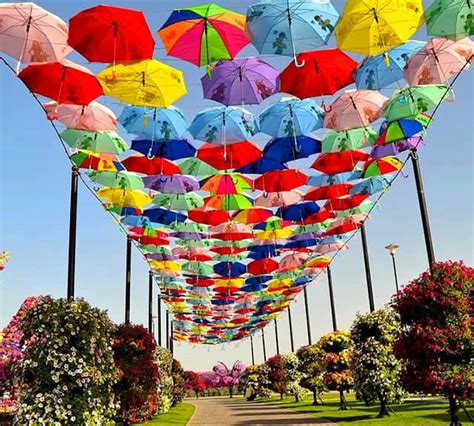 Umbrella Passage Dubai Miracle Garden