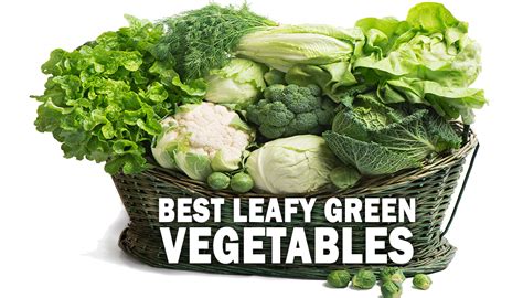 Best Leafy Green Vegetables Project Next