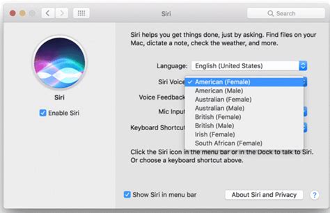 How To Use Siri In MacOS Sierra Macworld
