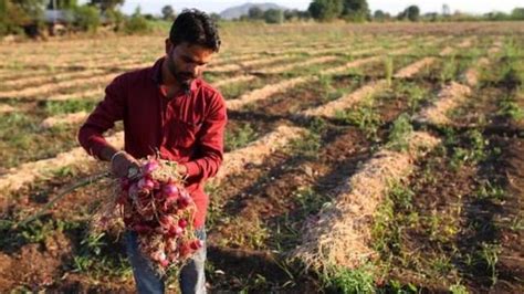 किसान क्यों रो रहे हैं प्याज़ के आंसू bbc news हिंदी