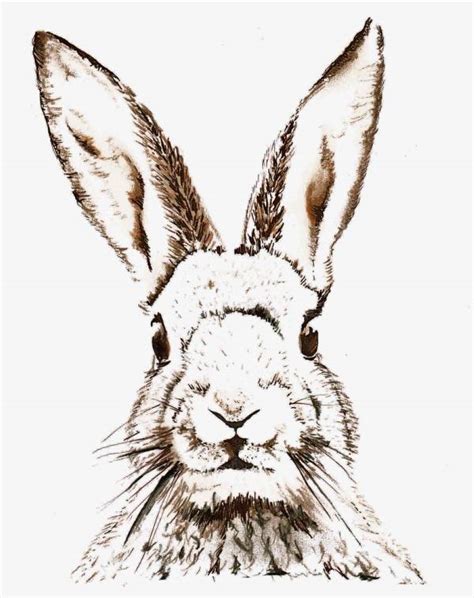 Printable Wall Art Easter Bunny Sketch Home And Garden