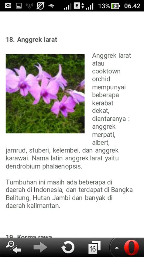 PERSAHABATAN YANG ABADI KLIPING FLORA DAN FAUNA LANGKA