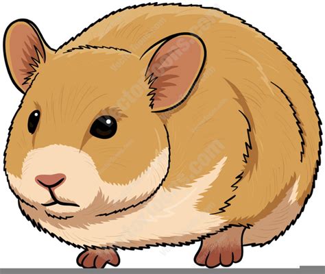 Cartoon Hamster Clipart Free Images At Vector Clip Art
