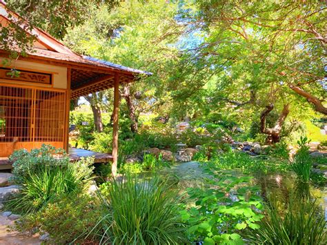 Visit The Best Botanical Gardens In Los Angeles Resist The Mundane