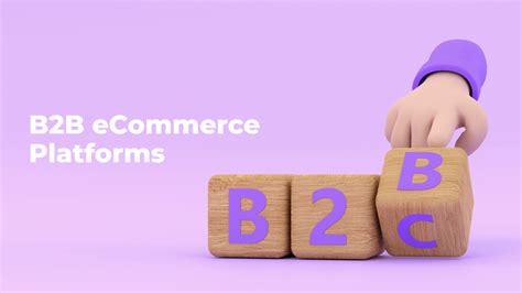 Top B2b Ecommerce Platforms Comprehensive Overview Zemez