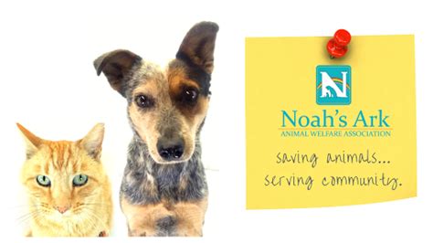 Noahs Ark Animal Welfare Association Animal Shelter In Trinidad