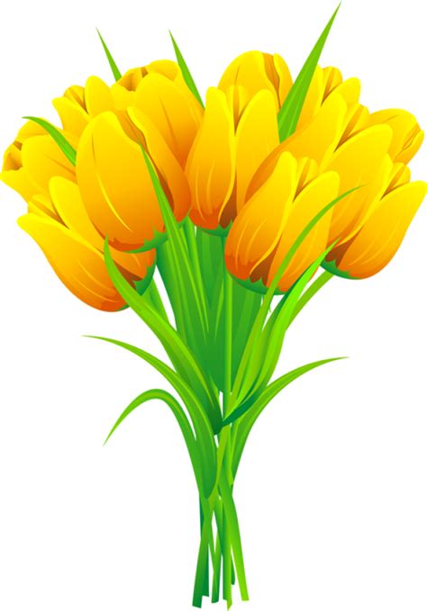Yellow Tulips Png Tulips Flower
