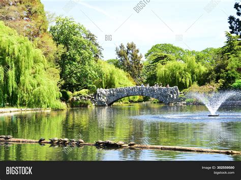 Victoria firewood stacked in pallets. Victoria Bc,canada,may Image & Photo (Free Trial) | Bigstock