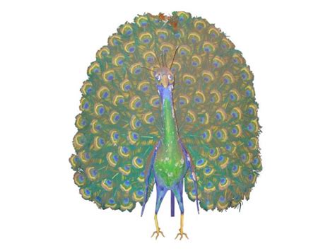 Peacock Element