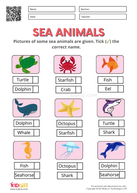 Sea Animal Worksheet Sea Animals Worksheets Activities Miracle Dorsey