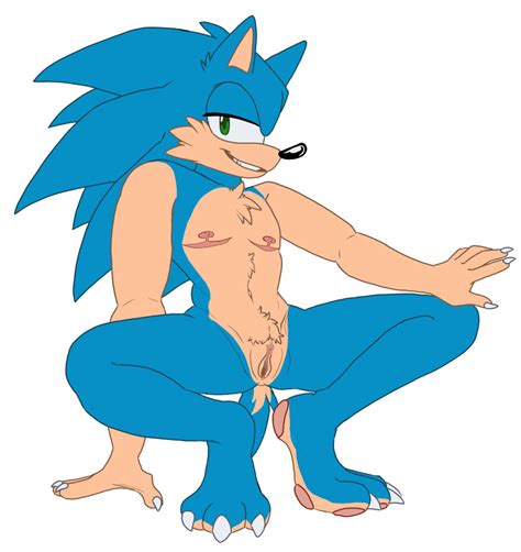Rule 34 Anthro Furry Mobian Species Pussy Scars Sega Sonic Series Sonic The Hedgehog Sonic