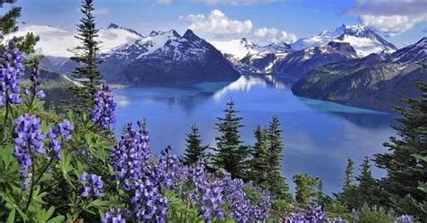 Mountains Lake And Blue Flowers Beautiful Scenery Pinterest