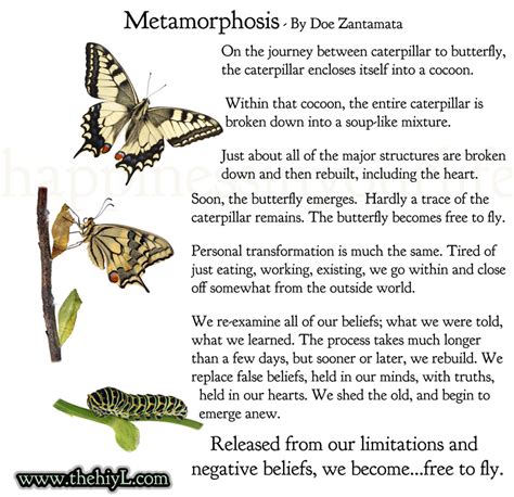 Butterfly Journey Quotes Quotesgram