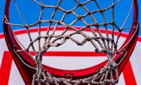 Best Basketball Nets Review Stepien Rules
