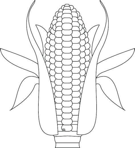 Corn Stalk Coloring Page At Free Printable Colorings