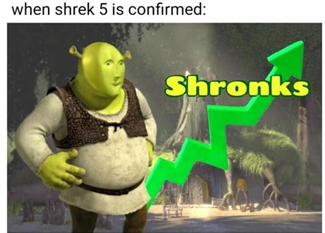 Pin By Promise On Memes Shrek Stupid Memes Stupid Funny Memes