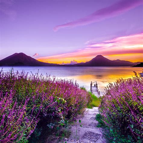 Volcano Sunset Flower Purple Dreamy Landscape 4k 5 Ipad Air
