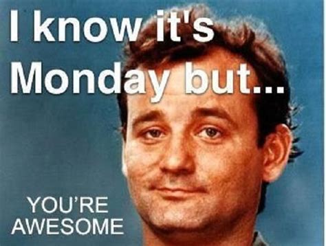 Giphy is how you search, share, discover, and create gifs. Bill Murray You're Awesome Meme - Picsora | Success Board ...