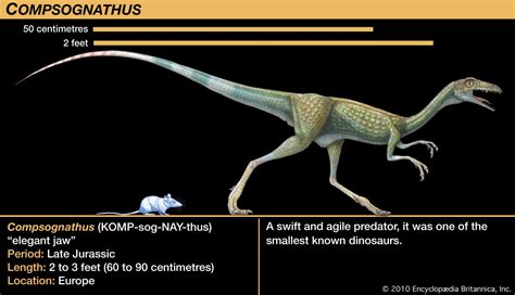 6 Awesome Dinosaur Species You Should Know Britannica
