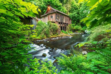 Hd Wallpaper Brown Wooden House Beside Body Of Water Forest Stream