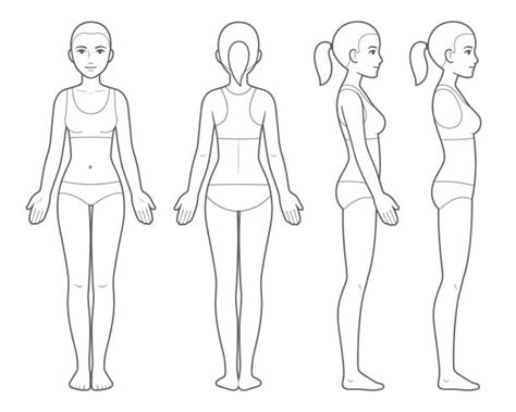 2300 Side View Of Body Drawings Illustrations Royalty Free Vector