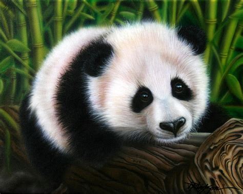 Panda Bear Painting At Explore Collection Of Panda