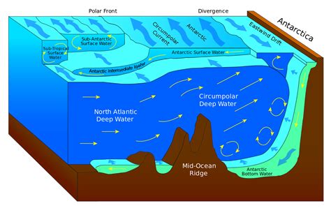 Diagram Raising Water Ocean Diagram Mydiagram Online