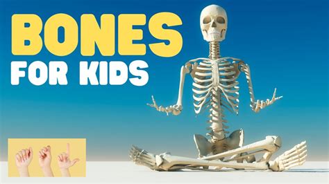 Asl Bones For Kids Youtube