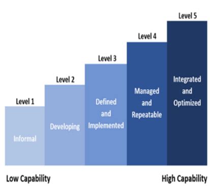 Category Management Maturity Model Procurement