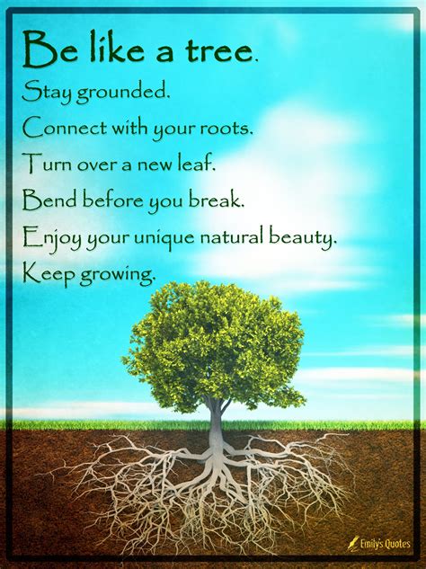Quotes About Trees And Growth Inspiration