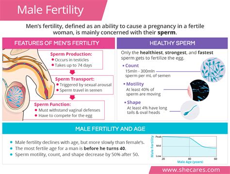 How Do Healthy Sperm Look Like