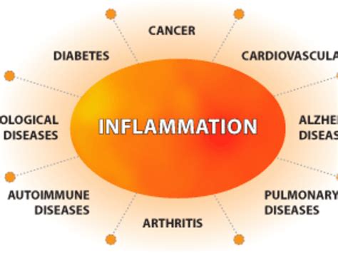 Natural Ways To Combat Chronic Inflammation Ramsey Nj Patch
