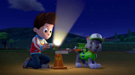 Pups Save An Acequotes Paw Patrol Wiki Fandom