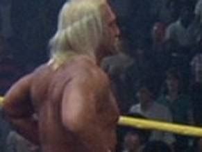Hulk Hogan Physique Hot Sex Picture