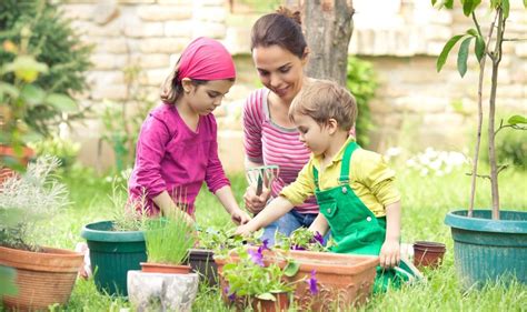 Fun Garden Activities For Parents And Children To Enjoy