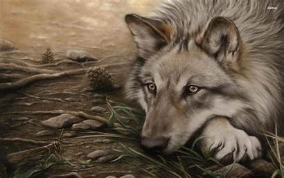 Wolf Animated Desktop Wallpapers Background Drawing Laptop