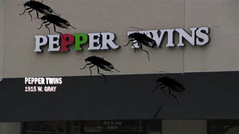 Restaurant Report Card Rodent Waste Roaches Discovered By Health