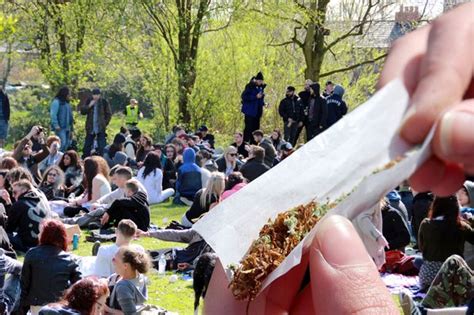 What Is 420 Everything You Need To Know As Cannabis Users Gather For