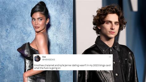 Timothée Chalamet Kylie Jenner Are Dating Who Saw This Coming