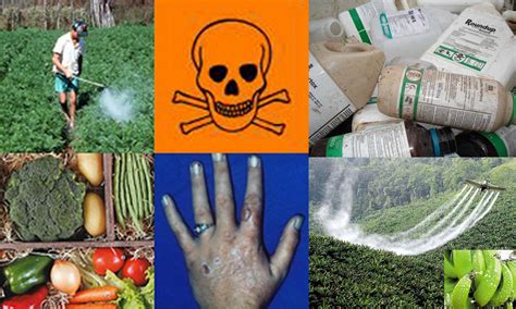 O Impacto Dos Herbicidas Na Saúde Humana E No Meio Ambiente Órbita Saúde