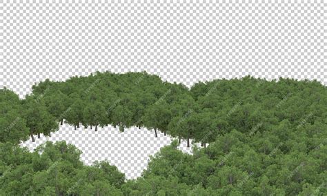 Premium Psd Forest On Transparent Background 3d Rendering Illustration