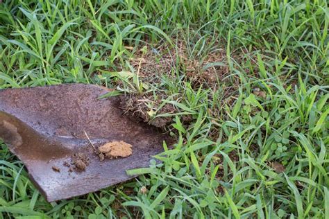 How To Fill Holes In The Lawn With Soil Hunker Lawn Lawn Soil Soil