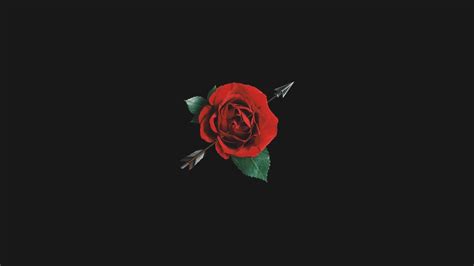 Red Rose Aesthetic Computer Wallpapers Top Free Red Rose Aesthetic Computer Backgrounds