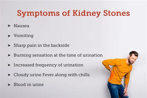 Kidney Stones Causes Symptoms Treatments And More