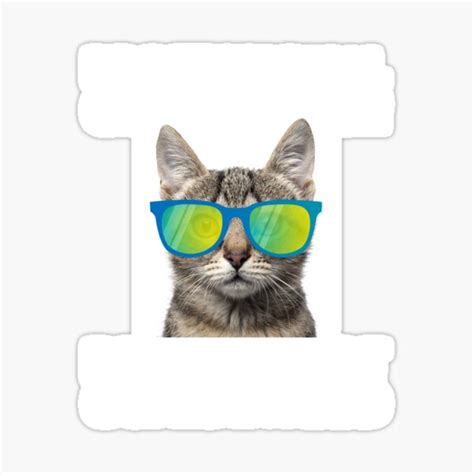 Professional Cat Herder Funny Cat Lover Jokes Sticker For Sale By